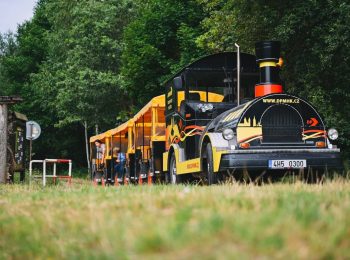 Pohled z nízké perspektivy na turistický vláček se žlutými vagónky projíždějící kolem naučné stezky v lese.